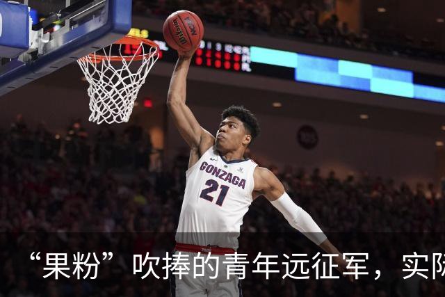 “果粉”吹捧的青年远征军，实际上没向鬼子开过一枪！