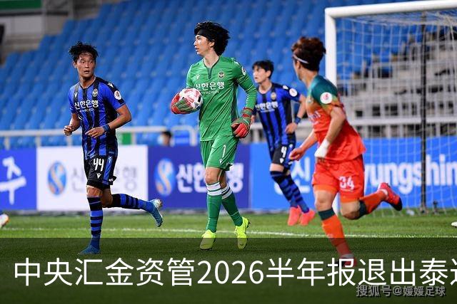 中央汇金资管2026半年报退出泰达股份前十大股东名单