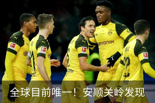 全球目前唯一！安顺关岭发现