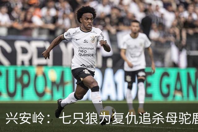 兴安岭：七只狼为复仇追杀母驼鹿，却遭遇求爱的公驼鹿的生死挑战