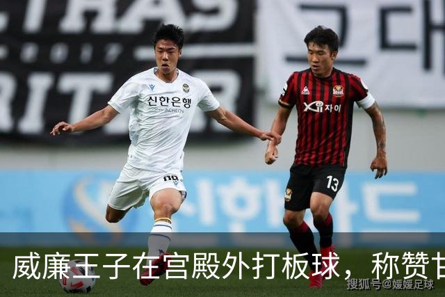 威廉王子在宫殿外打板球，称赞甘古利是最优秀板球运动员之一