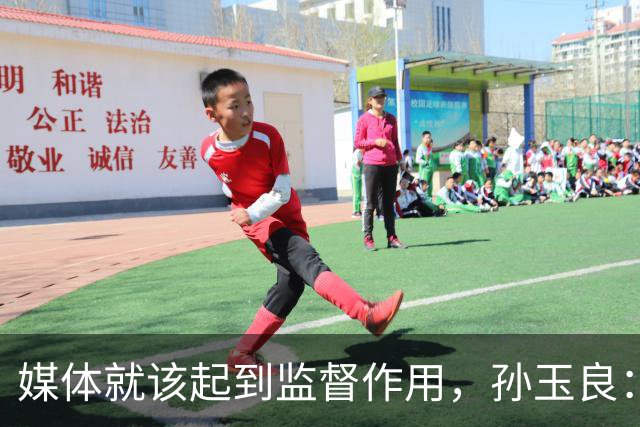 媒体就该起到监督作用，孙玉良：需要唱赞歌，请把这个权利给人民