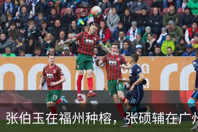 张伯玉在福州种榕，张硕辅在广州砍榕？