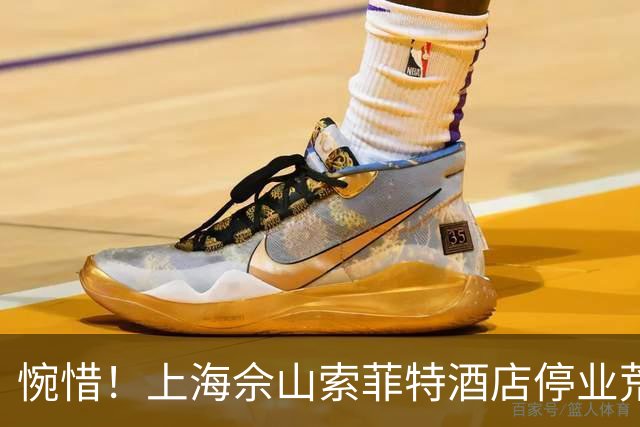 惋惜！上海佘山索菲特酒店停业荒置九年：曾经的“小三亚”，如今只剩荷花自开自谢，什么时候能重获新生？