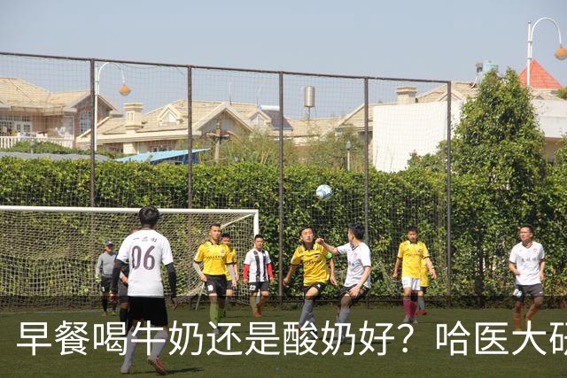 早餐喝牛奶还是酸奶好？哈医大研究：喝酸奶的人，多项指标“赢麻了”
