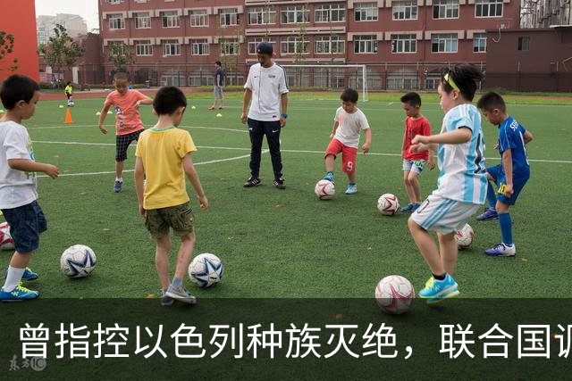 曾指控以色列种族灭绝，联合国调查前主席皮莱获和平奖