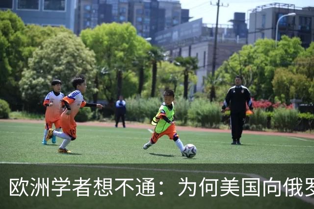 欧洲学者想不通：为何美国向俄罗斯倾斜，欧洲反而坚定站乌克兰？