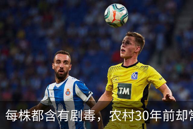 每株都含有剧毒，农村30年前却常用来做腌菜，为何现在消失不见？