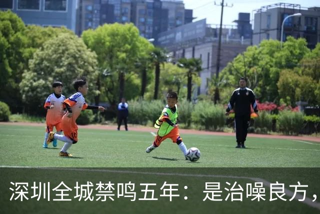 深圳全城禁鸣五年：是治噪良方，还是矫枉过正？