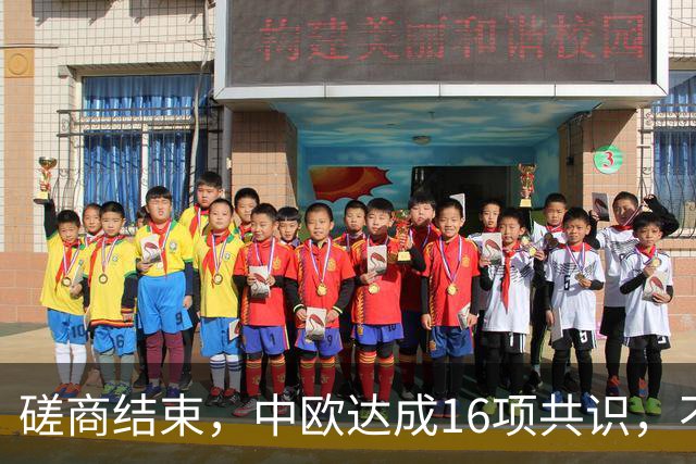 磋商结束，中欧达成16项共识，不到24小时，欧洲议会又出招了