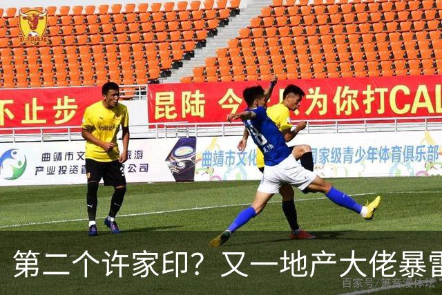 第二个许家印？又一地产大佬暴雷，涉案超200亿，现已被立案调查
