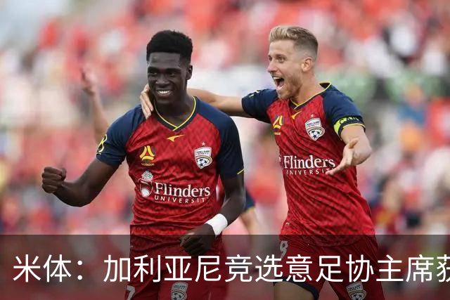 米体：加利亚尼竞选意足协主席获两大协会力挺