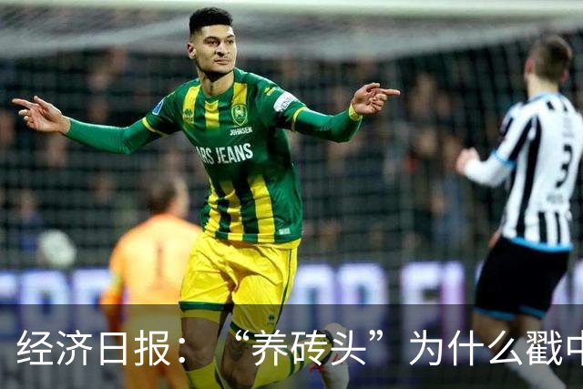 经济日报：“养砖头”为什么戳中年轻人？