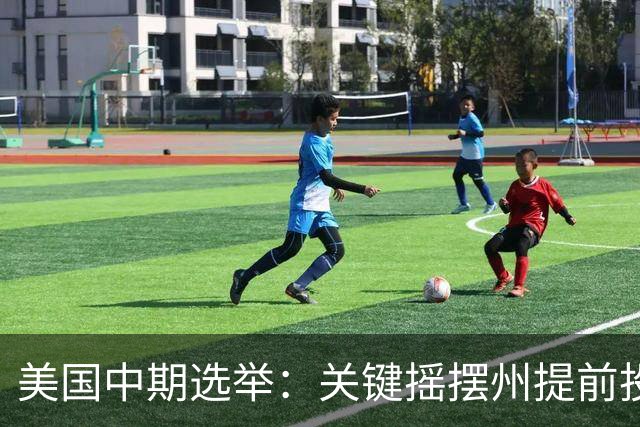 美国中期选举：关键摇摆州提前投票激增，生活成本成选民首要关切