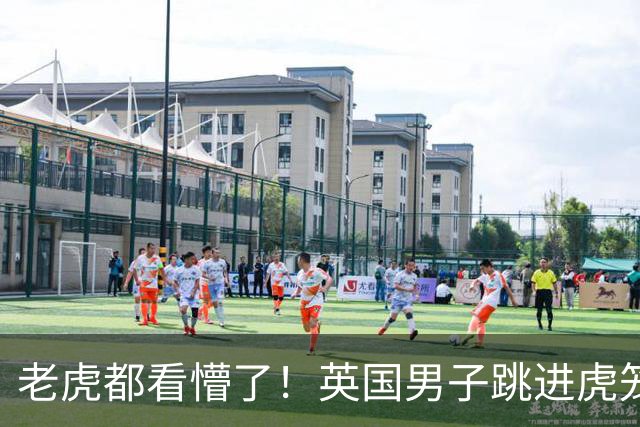 老虎都看懵了！英国男子跳进虎笼鞠躬祈祷，下一秒遭扑咬身亡