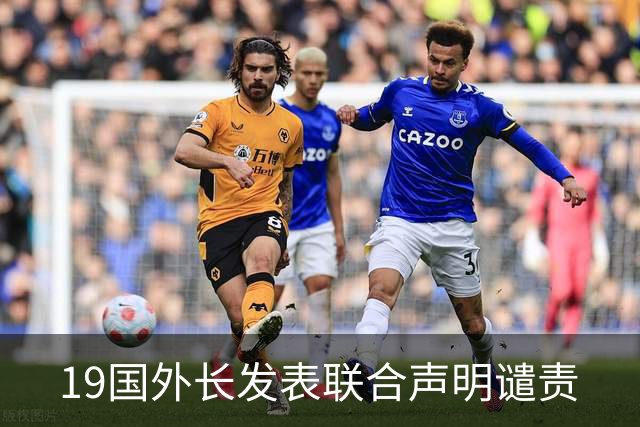 19国外长发表联合声明谴责