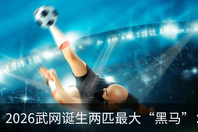 2026武网诞生两匹最大“黑马”：世界排名170的卡塔尔杀进决赛，波兰“月亮姐”击败发小斯瓦泰克晋级，有望夺冠！
