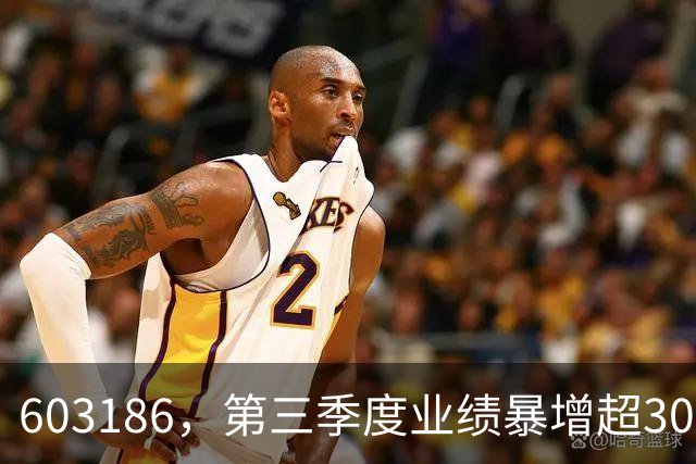 603186，第三季度业绩暴增超30倍