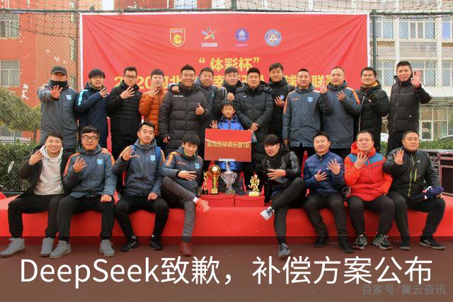 DeepSeek致歉，补偿方案公布