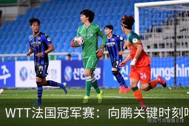 WTT法国冠军赛：向鹏关键时刻吃俩发球，2-3惜败不敌老将奥恰洛夫