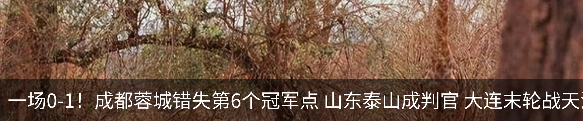 热点资讯