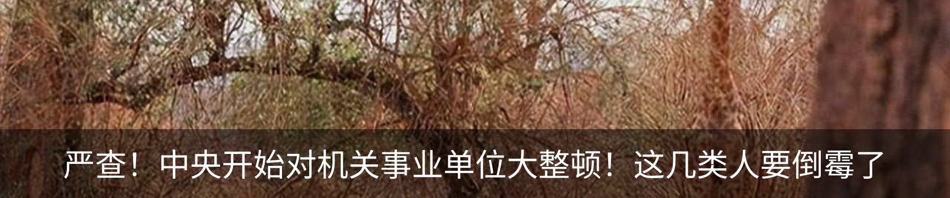 热点资讯