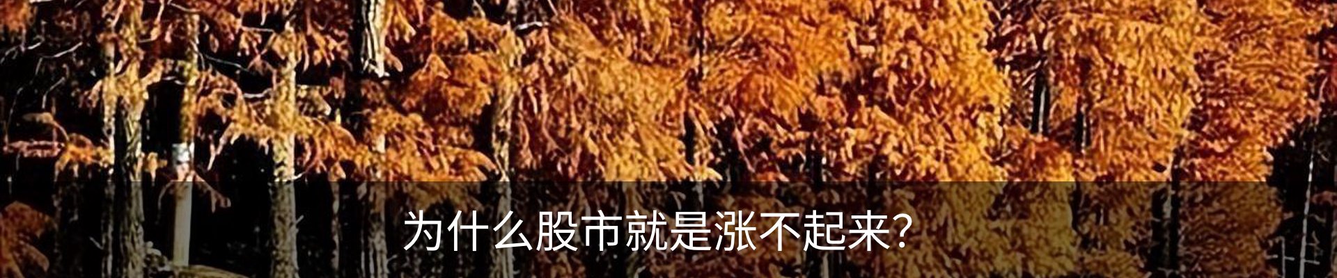 热点资讯
