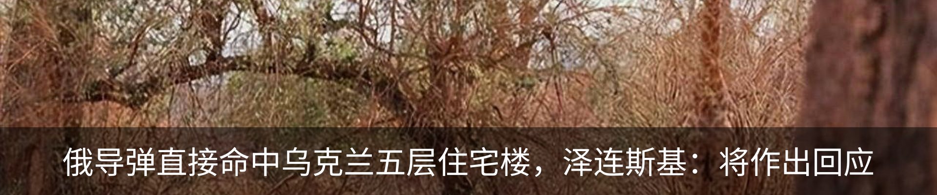 热点资讯