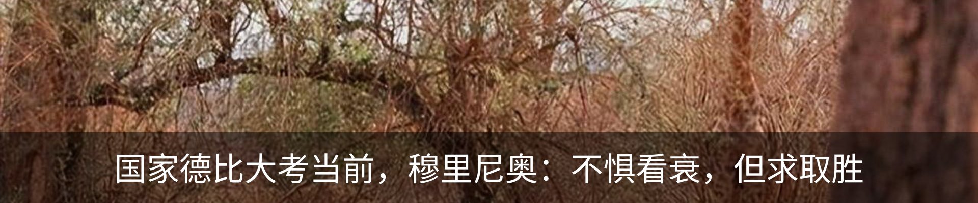 热点资讯