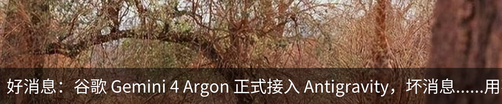 热点资讯