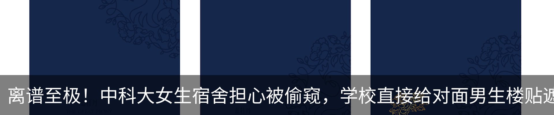 热点资讯