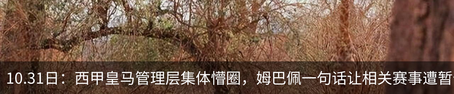 热点资讯